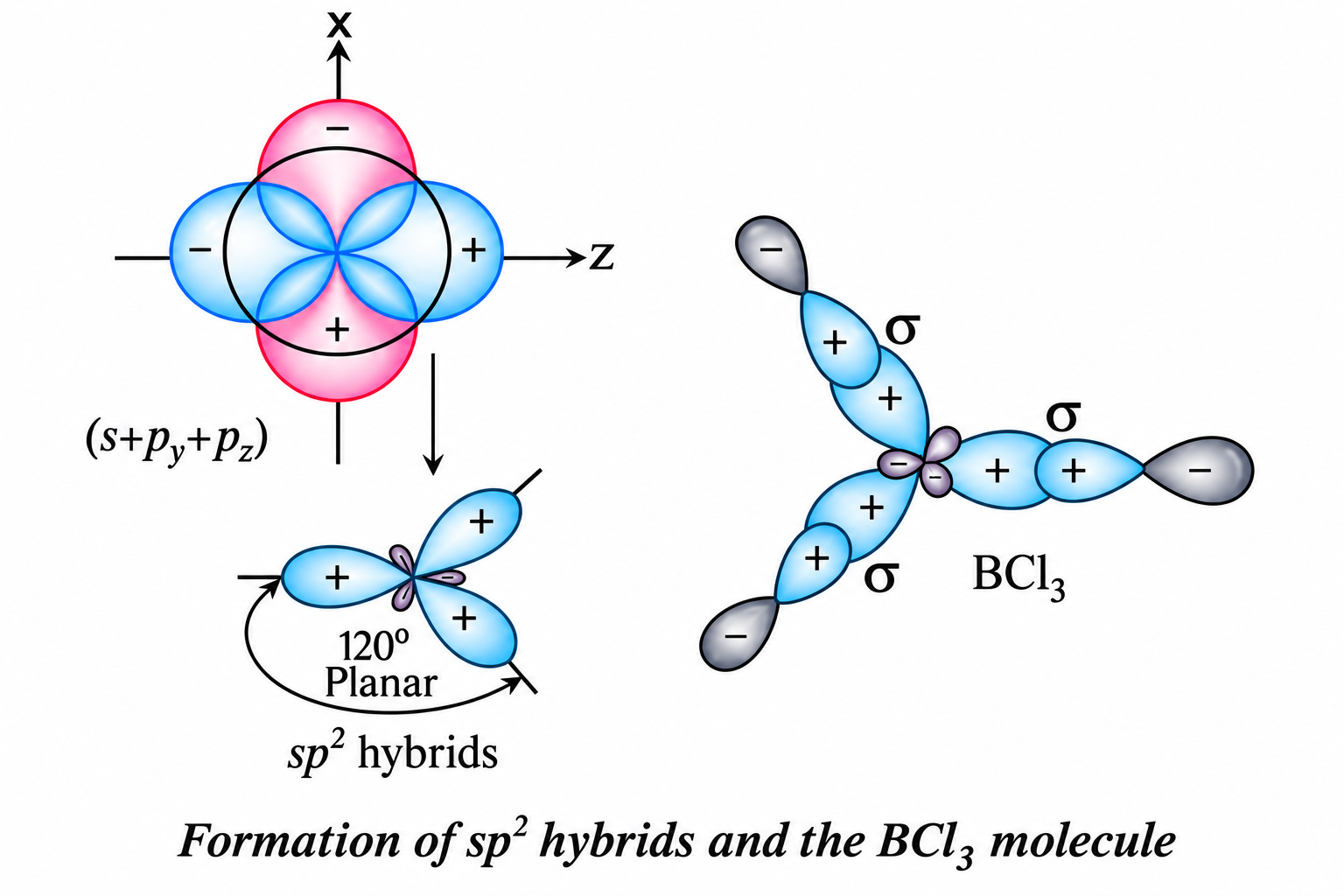 Fig 4.11 Orbital Hybridisation and BCl₃ Molecule